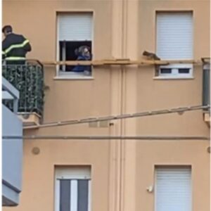 Gattino intrappolato in una balaustra a Pesaro: tempestivi i soccorsi
