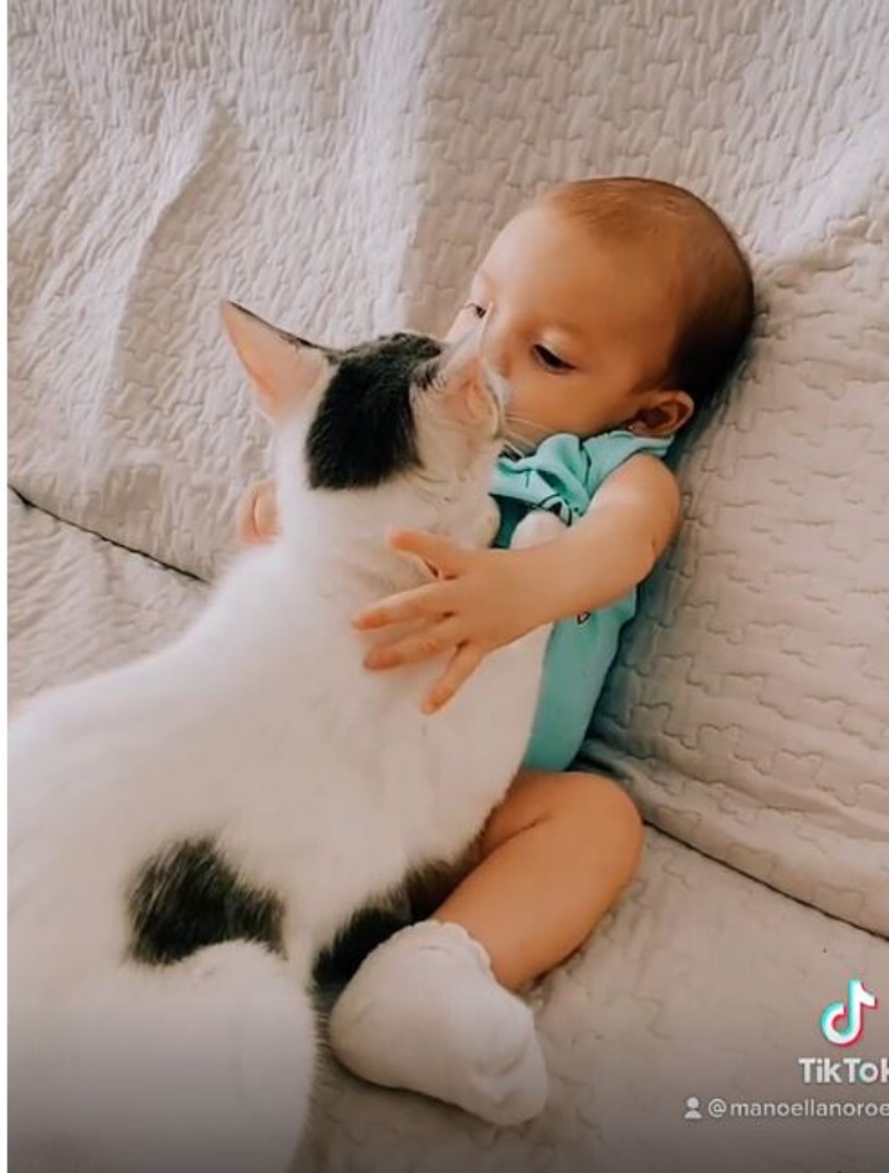 una bambina con un gatto