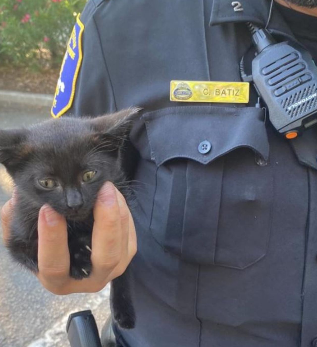Una gattina di nome Clover con un poliziotto
