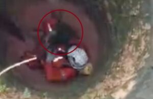 Gattino precipita per dieci metri: ritrovato dentro un pozzo
