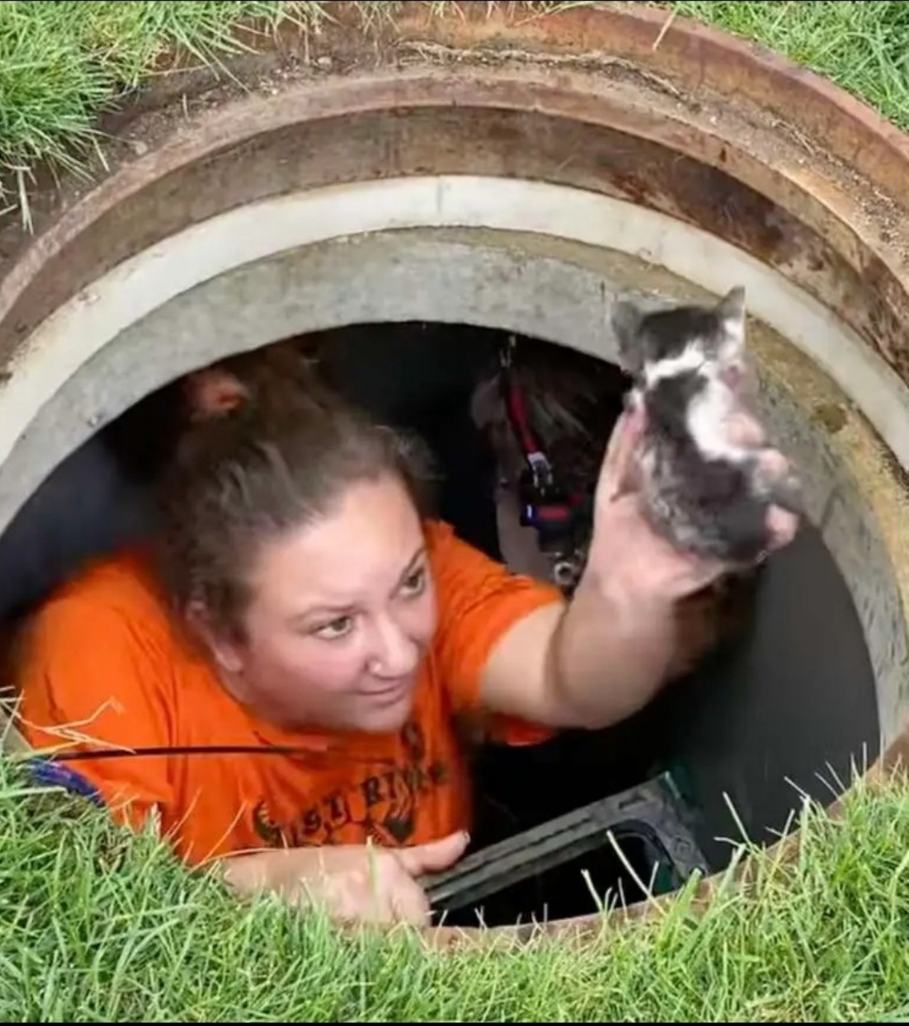 ragazza con il gattino