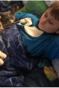 Il gatto capisce che il bambino autistico sta avendo una crisi e sa esattamente cosa fare