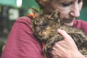 Nessuno al rifugio voleva toccare questo gatto, fino a quando una donna gentile ha deciso di coccolarlo