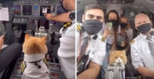 Il pilota porta il suo gatto in aereo con tanto di uniforme ed è subito foto con tutto l’equipaggio