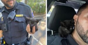 un poliziotto con un gatto