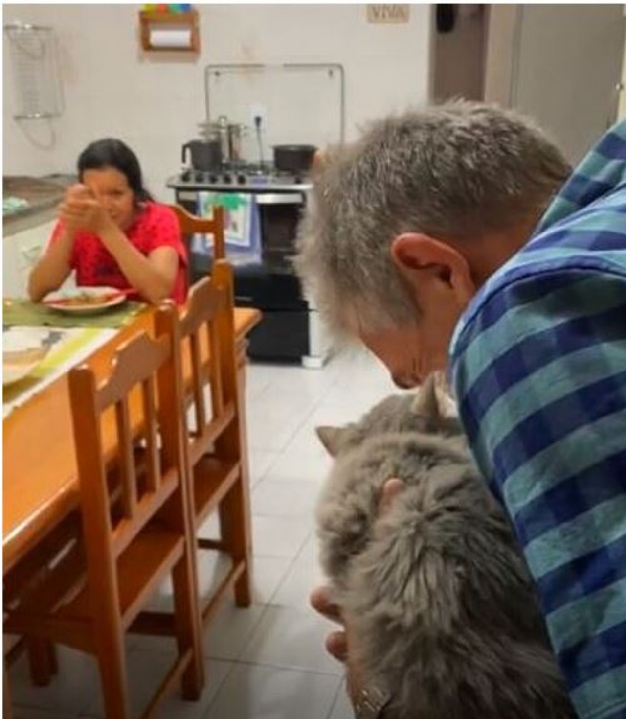 un uomo con un gatto persiano in braccio