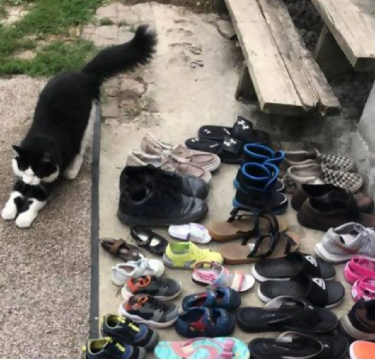 un gatto che si stiracchia vicino a tante scarpe
