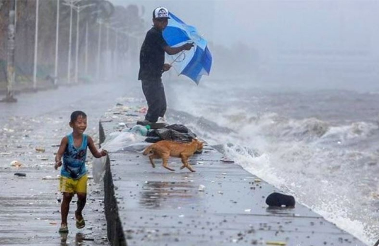 Un bambino corre incontro ad un gatto in difficoltà 
Instagram/Linusescandor