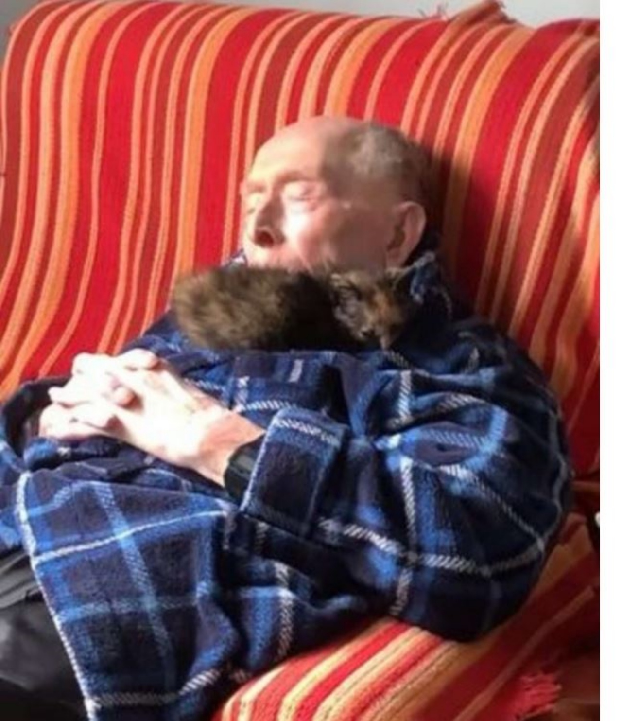 Don Manuel che dorme insieme al suo gattino