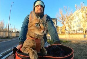 Un uomo scozzese decide di fare il giro del mondo in bici insieme al suo gatto