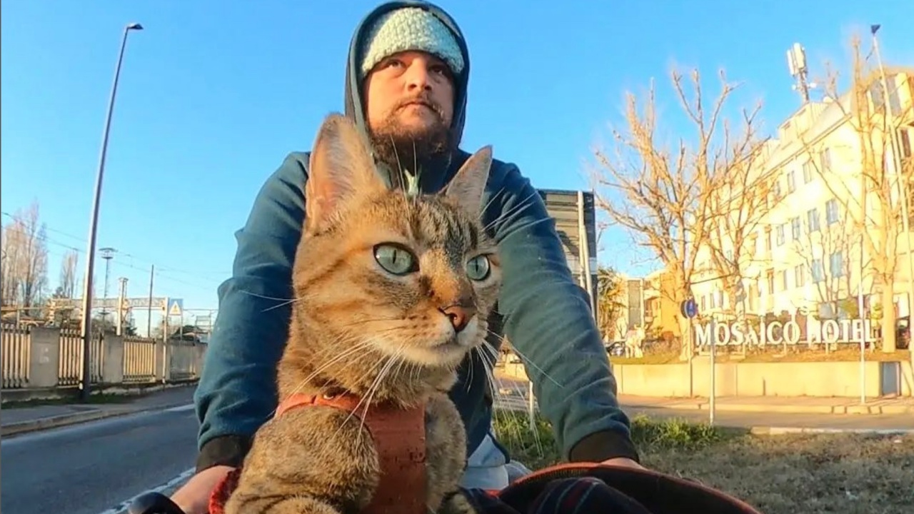 uomo scozzese gira il mondo in bici con la sua gattina