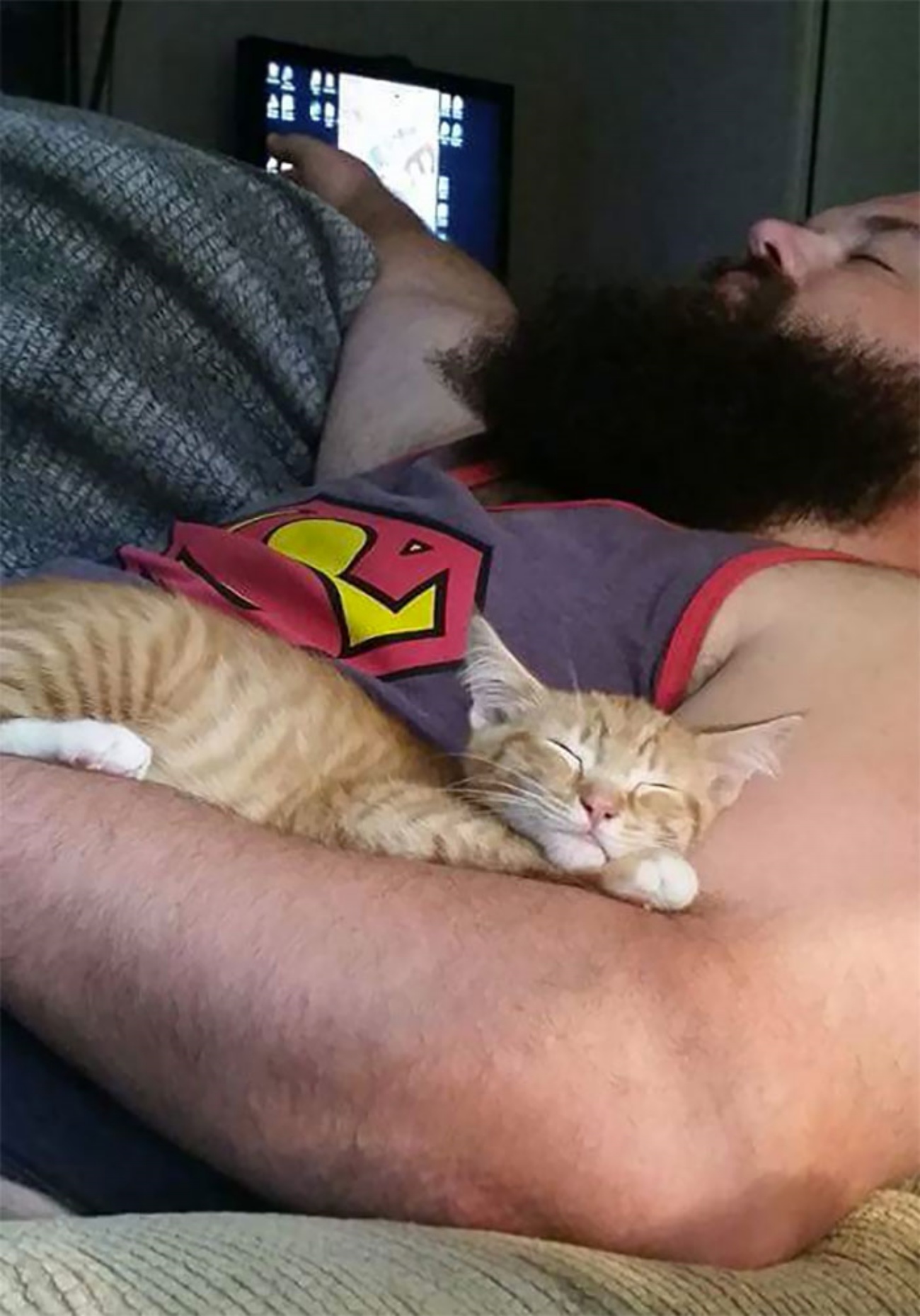papà e gattino dormono