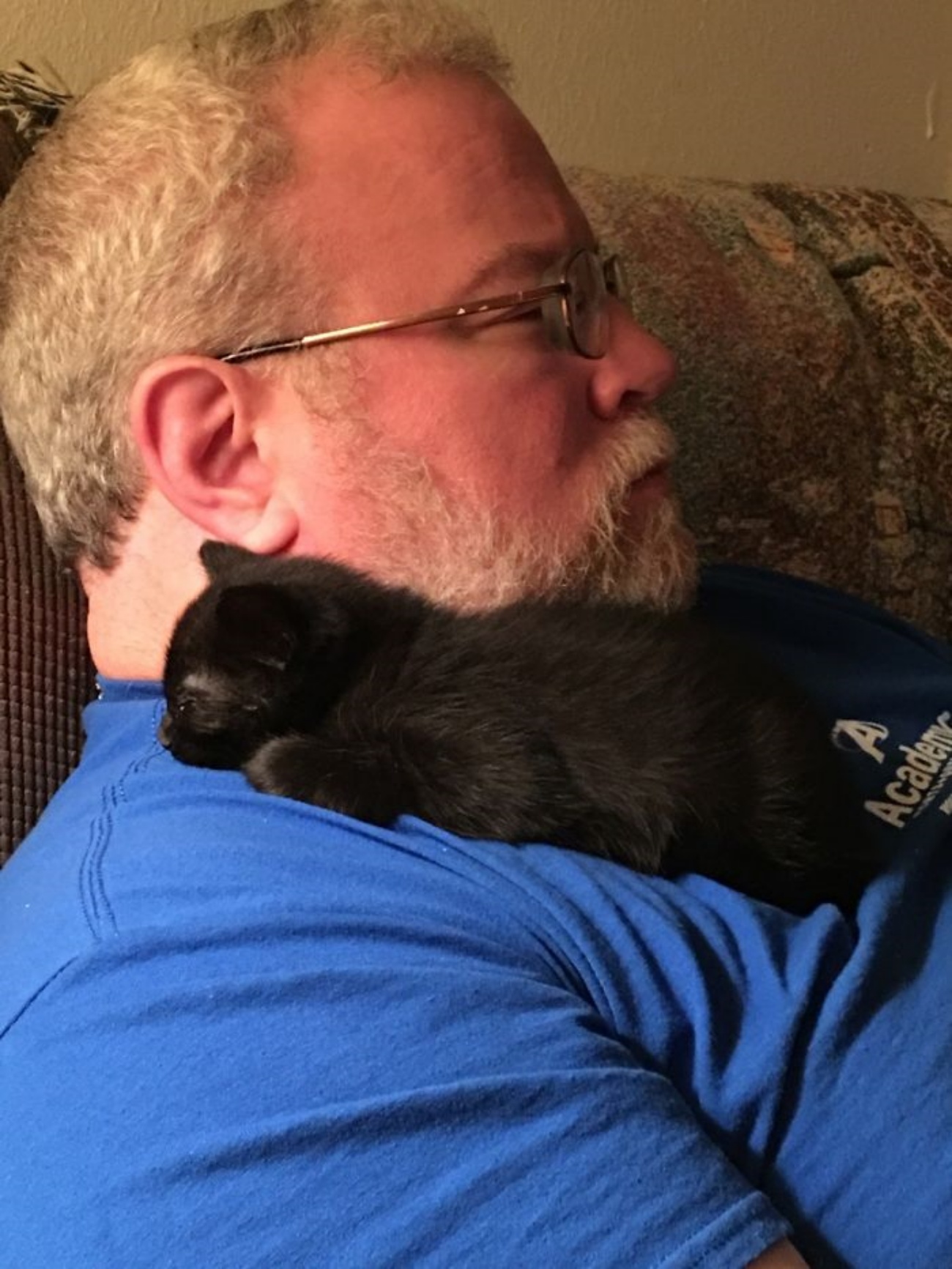 gattino e papà