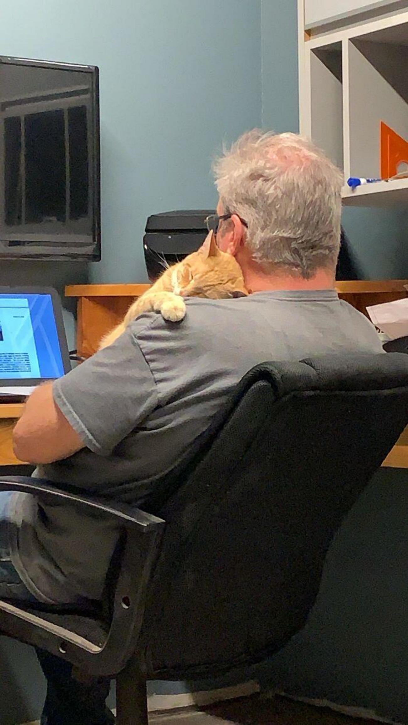 papà e gatto abbracciati