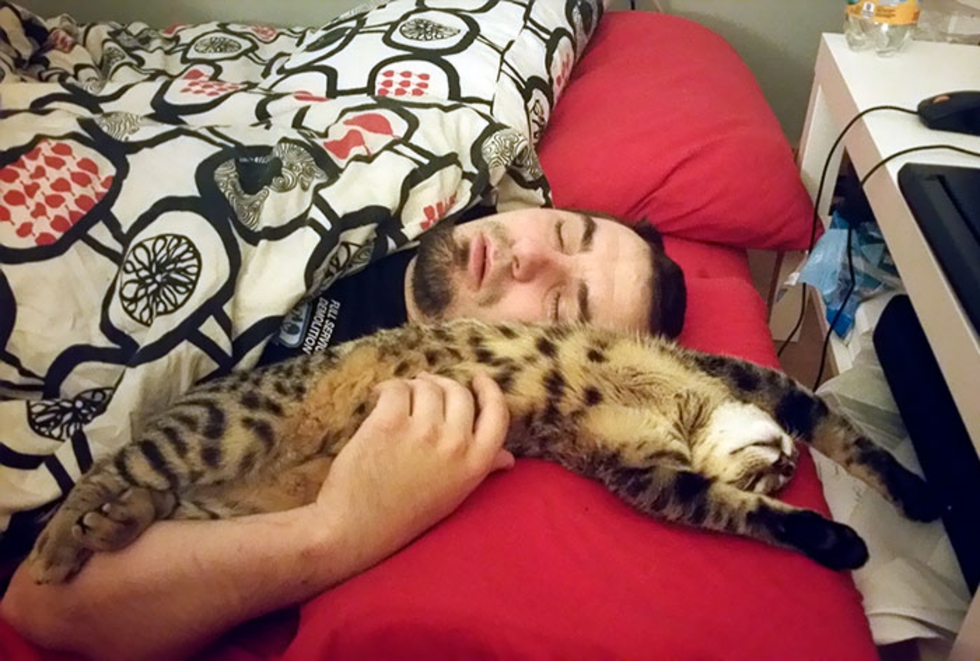uomo e gatto dormono