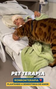 Bento, il gatto che sta conquistando il cuore dei bimbi nel reparto pediatrico dell’ospedale