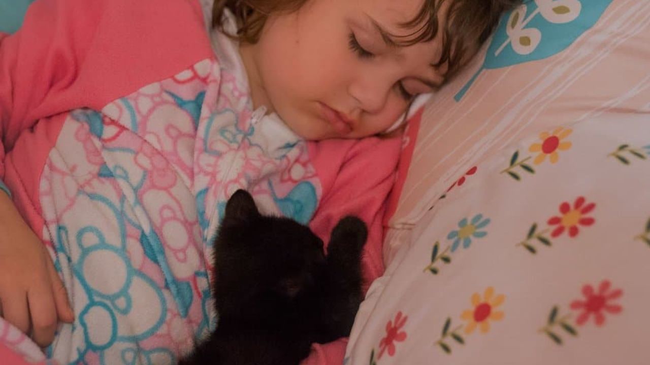 gattina dorme con bambina