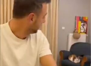 Gattina reagisce in modo tenero appena il padrone la chiama per nome (VIDEO)