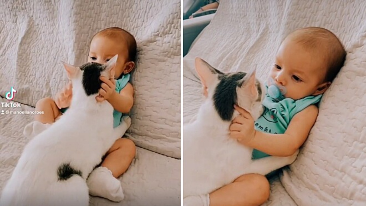 gatto e bimba