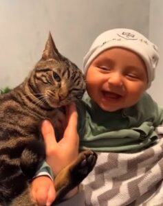 Il gatto si accoccola al bambino e la scena scioglie i cuori di tutto il web