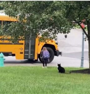 Un gatto aspetta che la sua piccola sorellina prenda il bus la mattina; non la lascia mai sola
