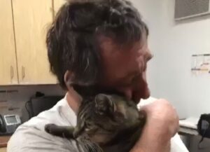 L’uomo non riesce a contenere la gioia: rivede il suo gatto dopo ben sette lunghissimi anni