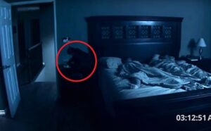 Pensavano a una presenza paranormale in casa, invece era “solo” la loro gattina