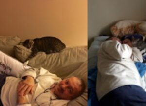 Quest’uomo odiava i gatti. Eppure un giorno sua figlia è tornata a casa e l’ha trovato così