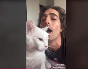 Damiano dei Maneskin e il gatto Ziggy duettano in un video virale