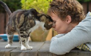 Questa gatta anziana è riuscita a tornare a casa ritrovando la strada dopo ben 13 anni (VIDEO)