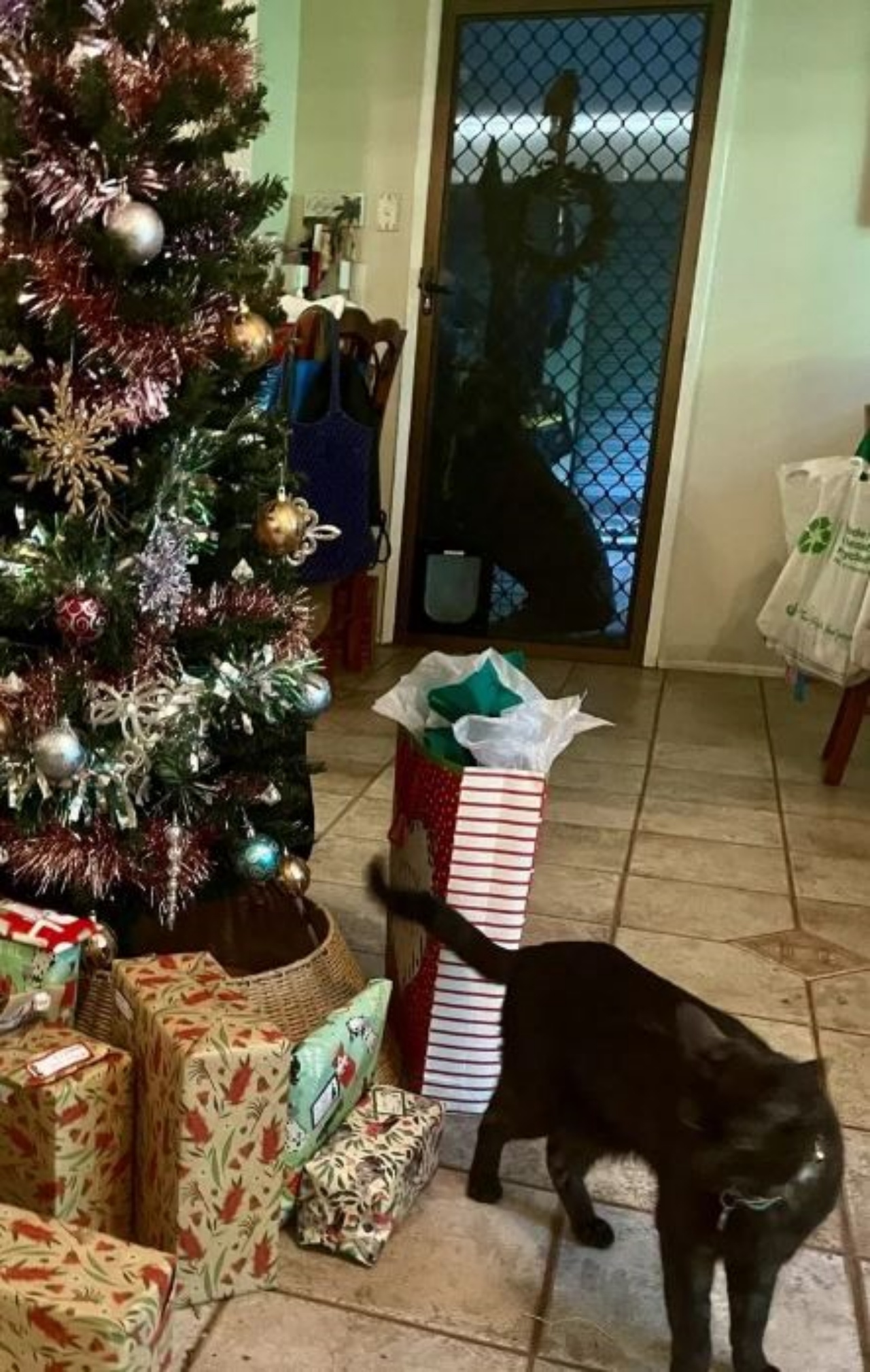 Un gatto vicino ai regali di Natale