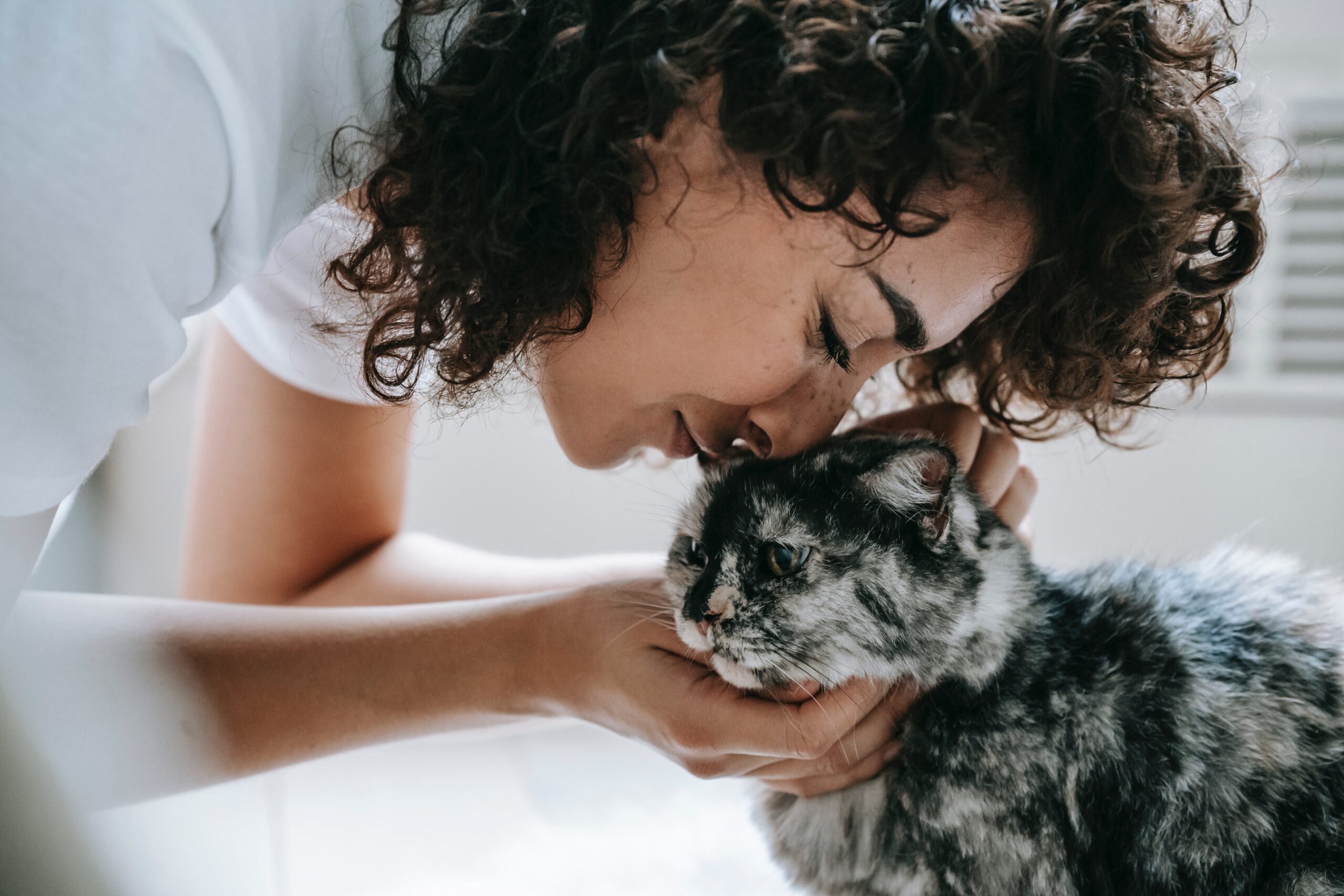 gatto baciato da ragazza