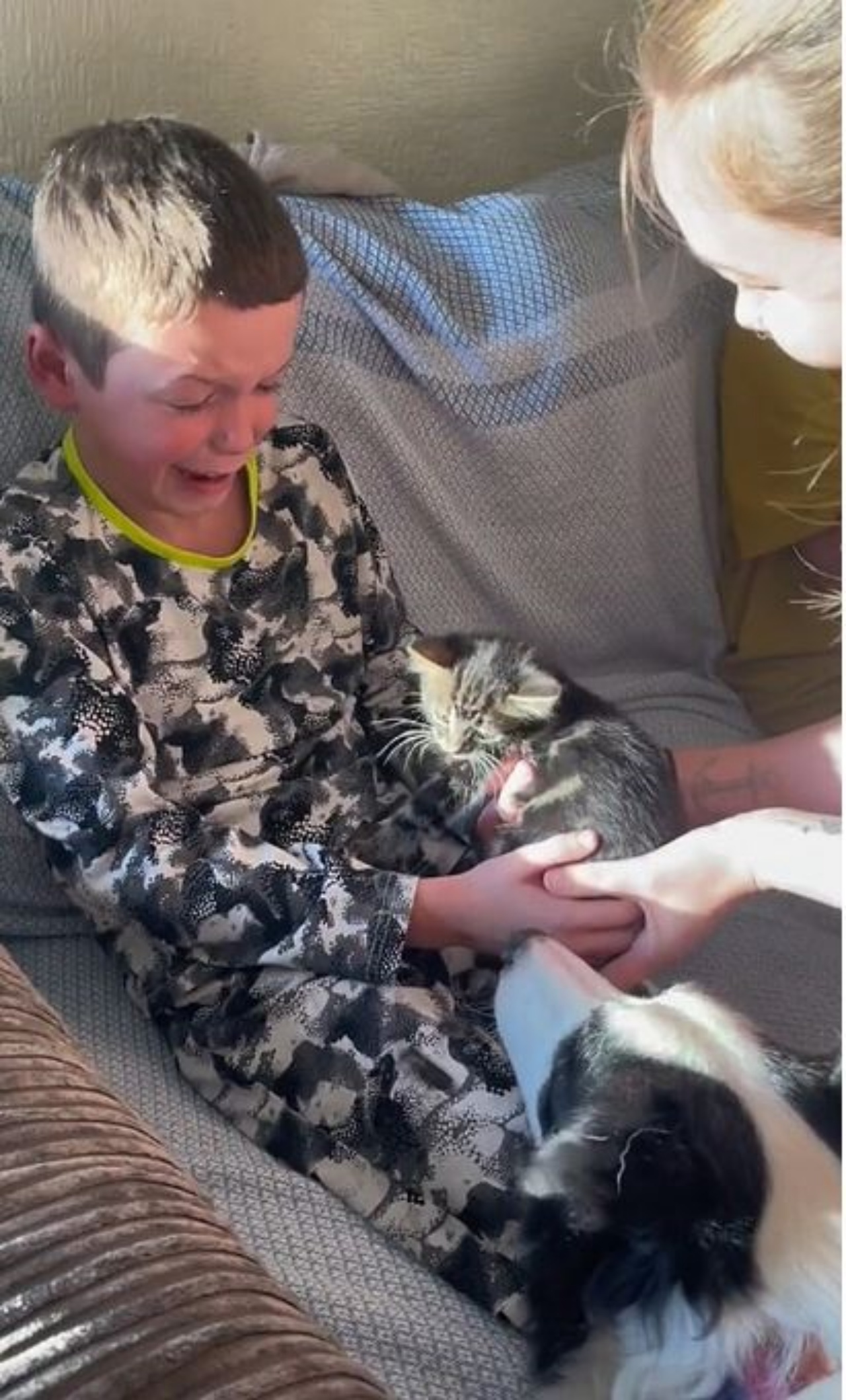 Un bambino piange ed ha un gattino in braccio