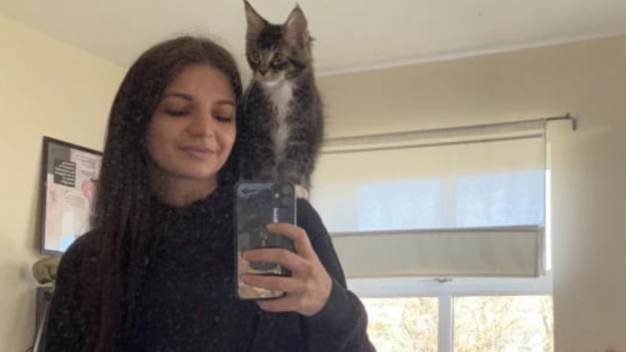 ragazza con gatto sulla spalla