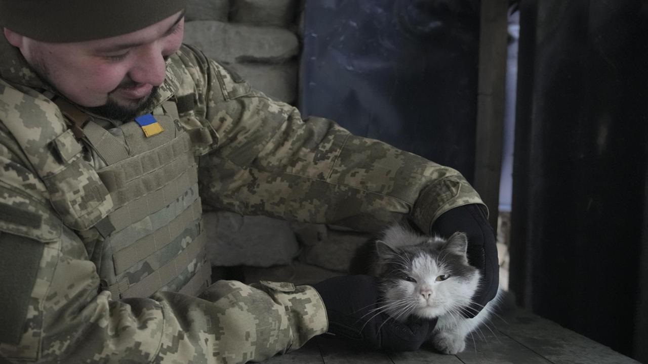 Soldato ucraino e gatto