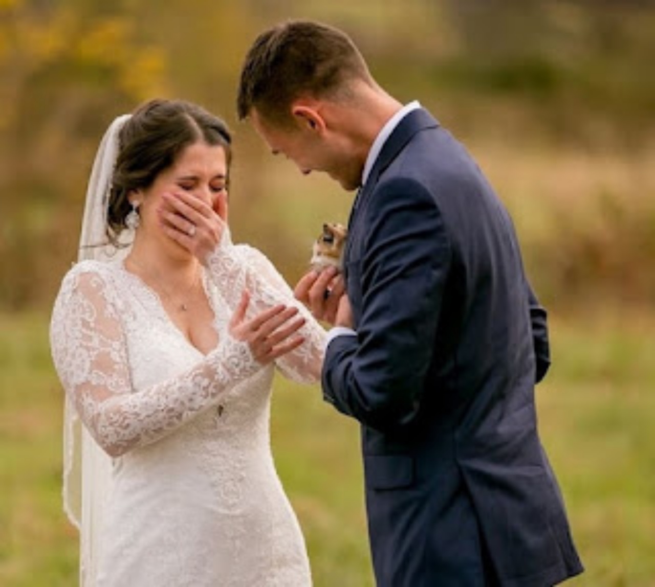 gattino con lo sposo e la sposa