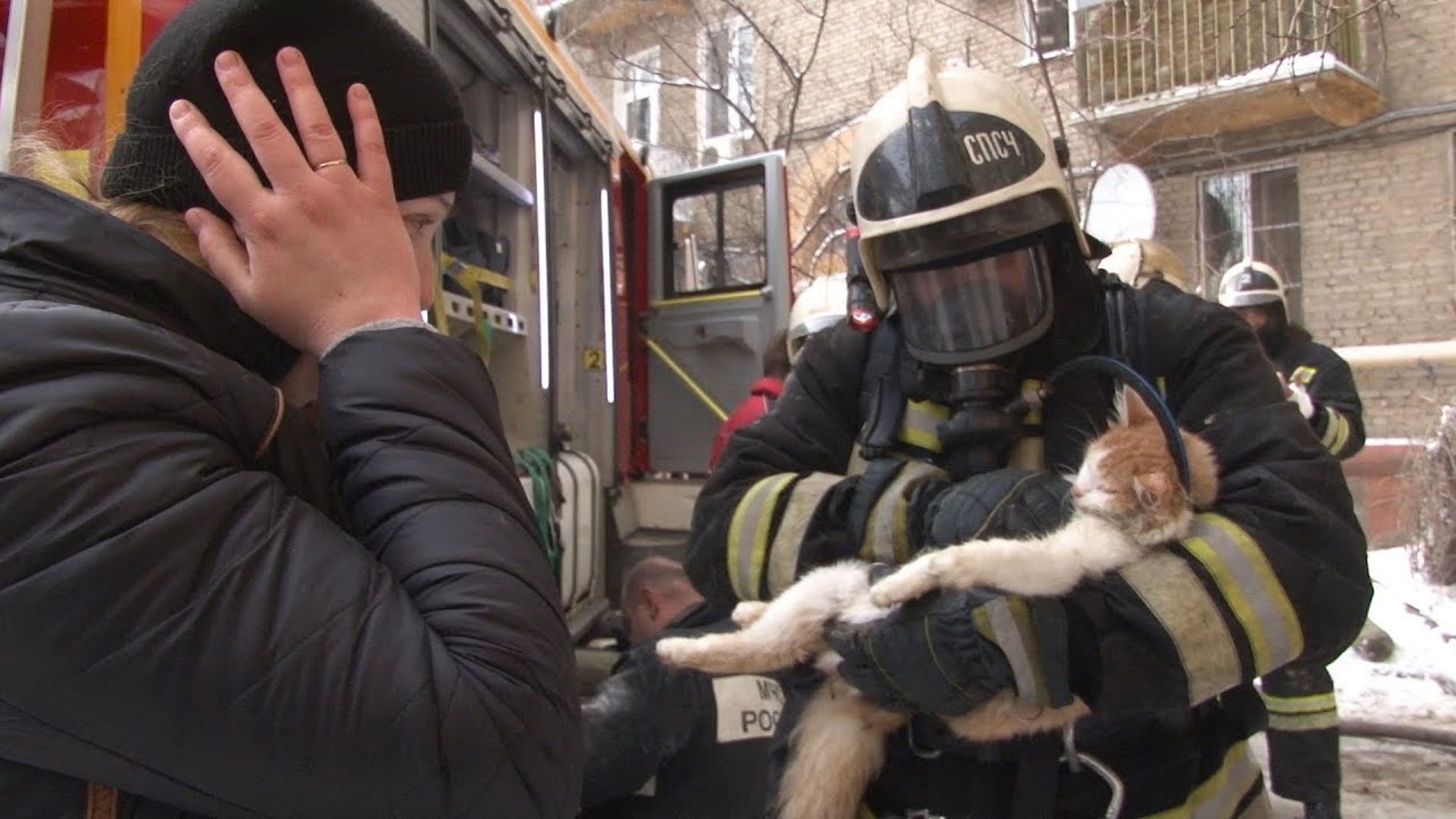 gatto e pompiere