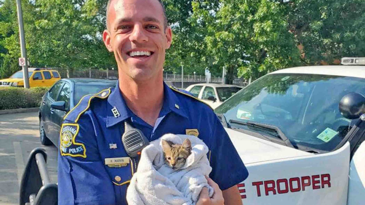 gattina e poliziotto