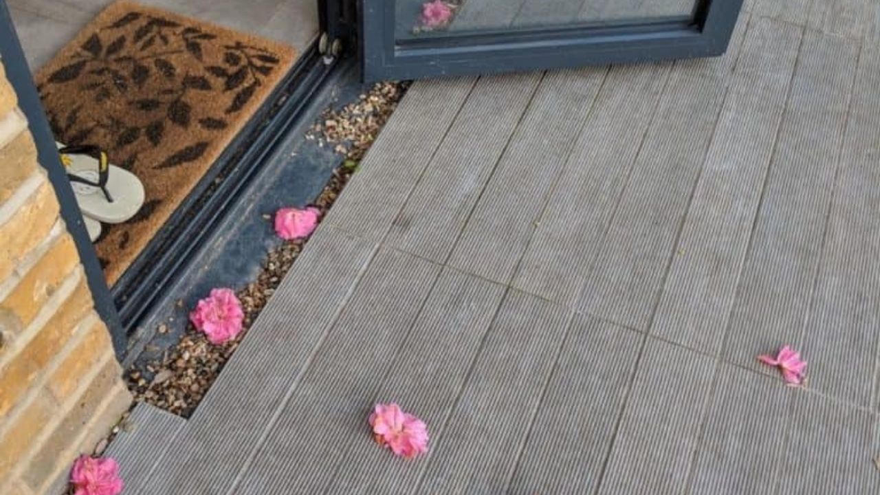 vicina di casa trova petali di rosa sulla veranda