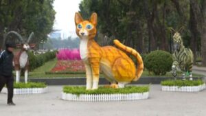 L’anno del gatto è iniziato: in Vietnam ci sono finti mici ovunque