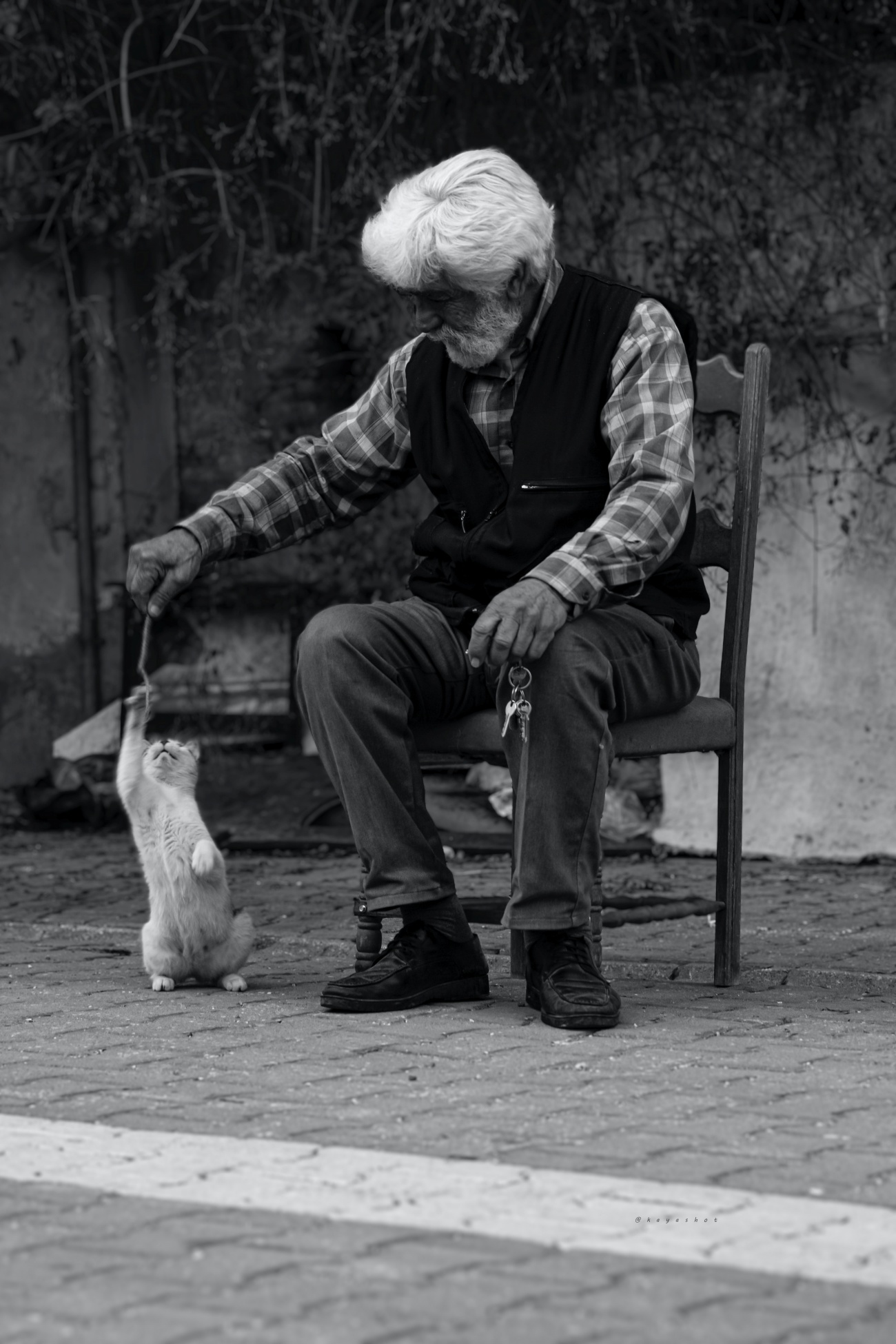 gatto e anziano