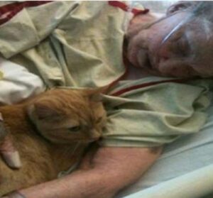L’ultimo desiderio di questa nonnina era quello di rivedere e coccolare il suo migliore amico gatto