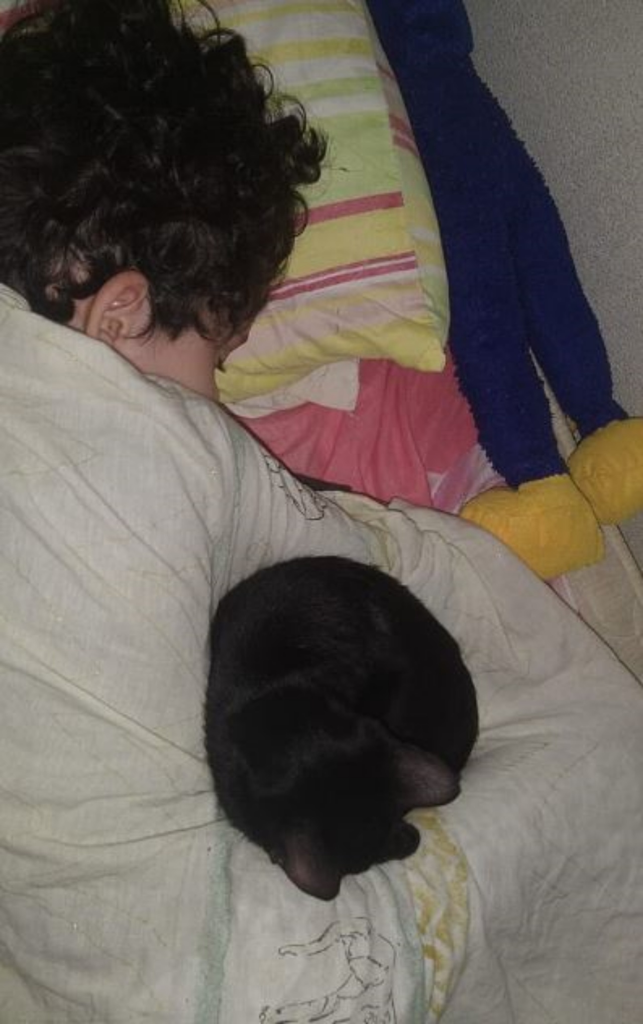 Athos dorme con Tadeo