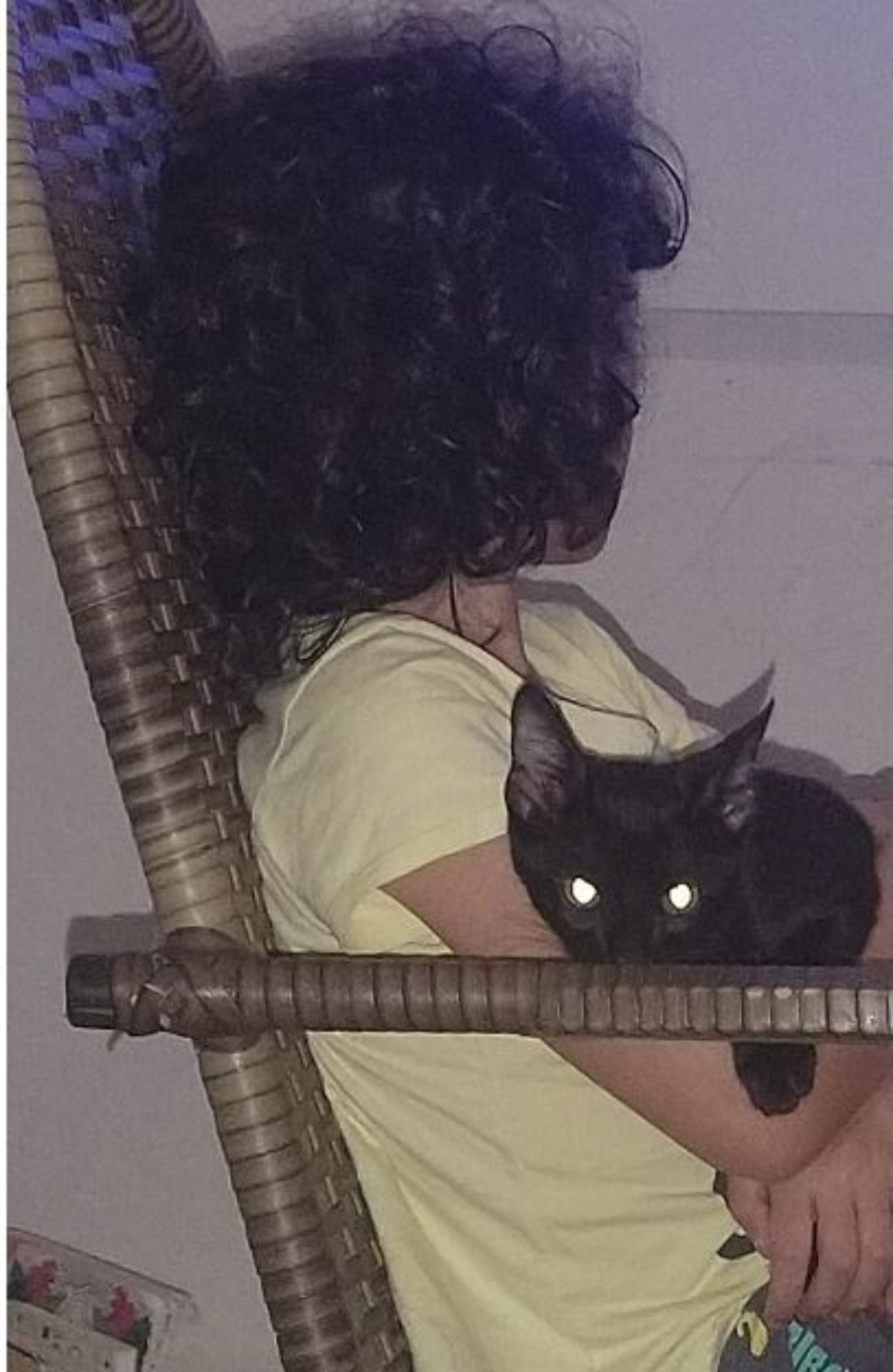 un bambino con un gatto nero in braccio