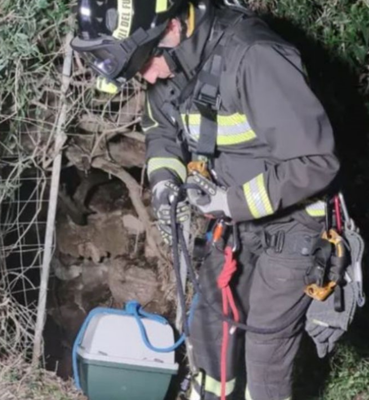 Un gattino nel trasportino con un vigile del fuoco