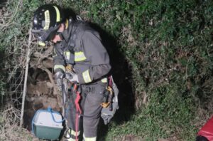 Intervento tempestivo dei vigili del fuoco per salvare un gattino precipitato in un pozzo