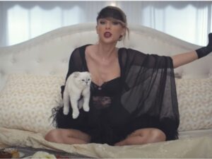 Olivia Benson, la gatta di Taylor Swift, è il terzo animale domestico più ricco del Mondo.