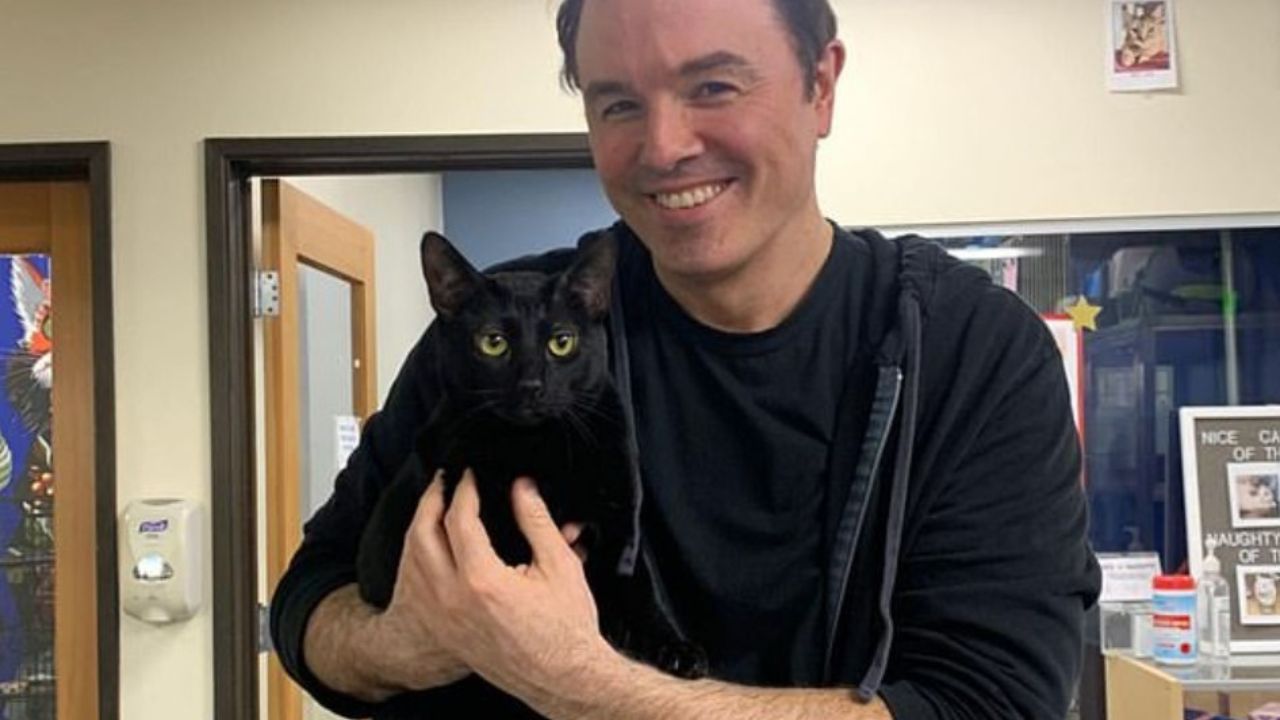 gatto in braccio a uomo vestito di nero