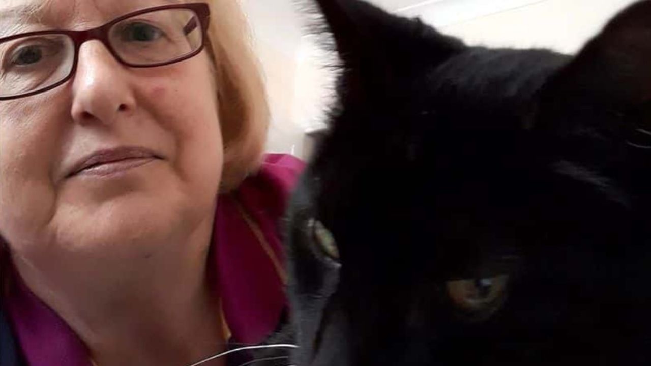donna bionda con gatto nero