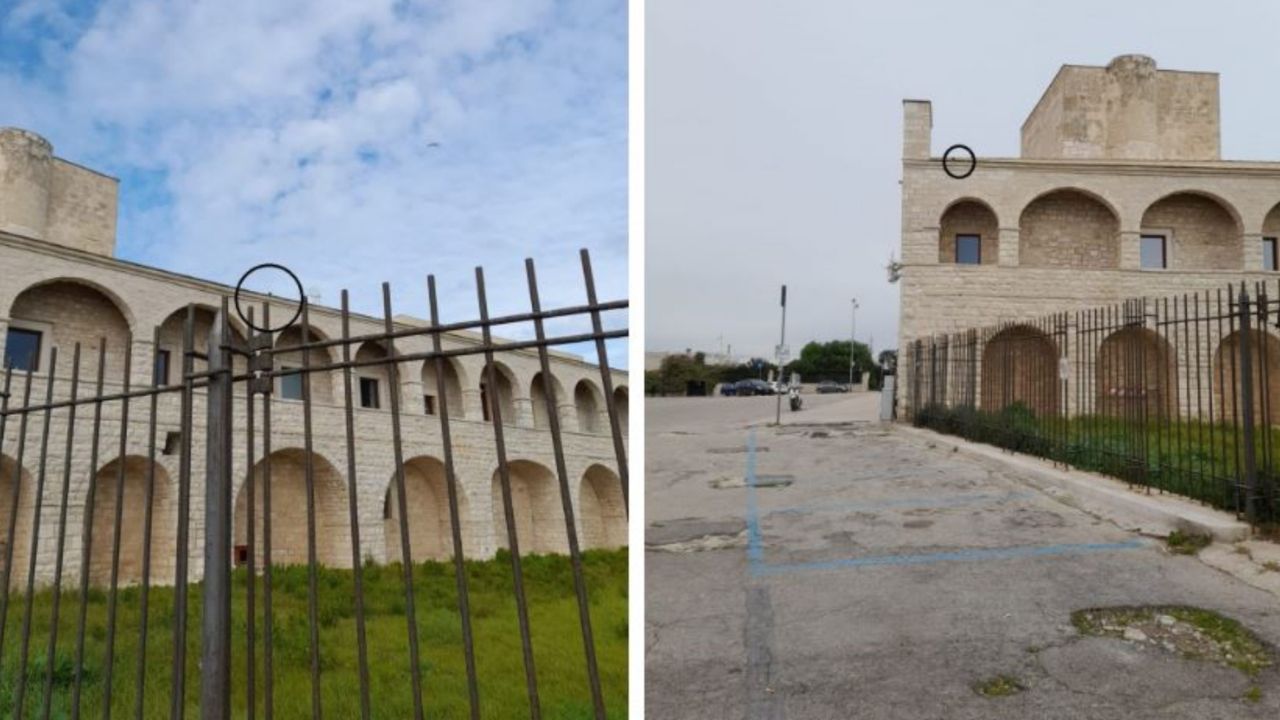 Gatto che si trova sul tetto di un monastero